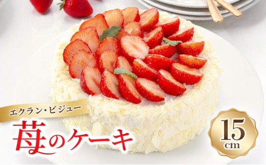 [№5258-0804]エクラン・ビジュー「苺のケーキ」 お菓子 タルト 宝石箱 フルーツ 新鮮 美味しい カスタードクリーム 手作業 安心 しっとり 