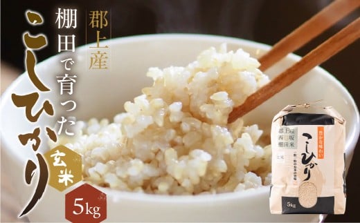 コシヒカリ こしひかり 玄米 5kg 農家直送 2025年産 令和7年産 お米 コメ こめ ご飯 14000円