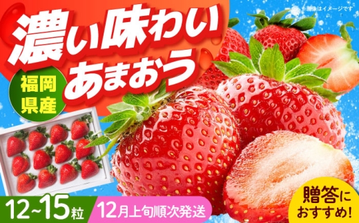 【2025年12月上旬より順次発送】 福岡産 あまおう ギフト箱（12-15粒）《築上町》【南国フルーツ株式会社】 果物 苺 いちご [ABET003]