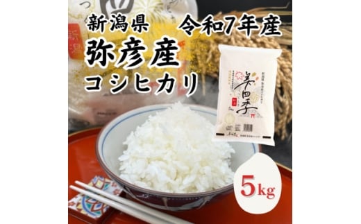 令和7年産　新潟県弥彦産コシヒカリ　美四季5kg　皇室献上米農家生産　特別栽培米【1690587】