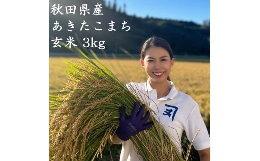 令和7年産 特A 秋田県産 あきたこまち 玄米 3kg 米【(株)鈴木又五郎商店】[B2313]