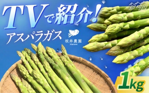 アスパラガス 1kg 3月上旬より発送！＜坂井農園＞那珂川市 季節 限定 おいしい アスパラ 人気 あすぱら アスパラガス 野菜 アスパラ ランキング アスパラガス 特別 アスパラ 健康 最高 アスパラガス ヤサイ レシピ サイズ 豊富 アスパラガス 産地直送 アスパラ 人気 アスパラガス あすぱらがす おすすめ アスパラ 太 細 サイズ 絶品 やさい あすぱら 九州 福岡 [GBP001]