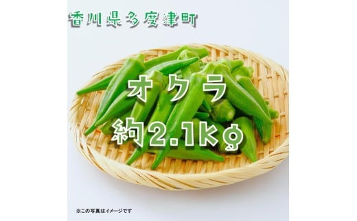 オクラ約2.1kg　30ネットまたはバラ詰め【A-144】