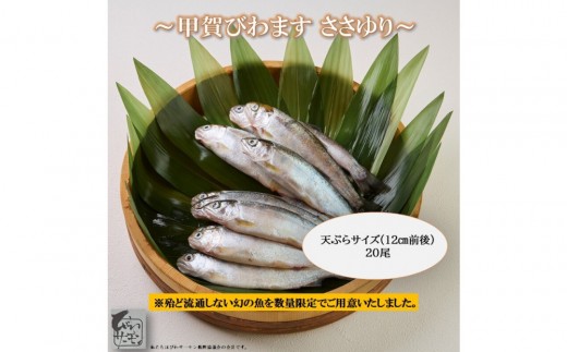 甲賀びわます “ささゆり”　 天ぷらサイズ 5尾入り×4パック