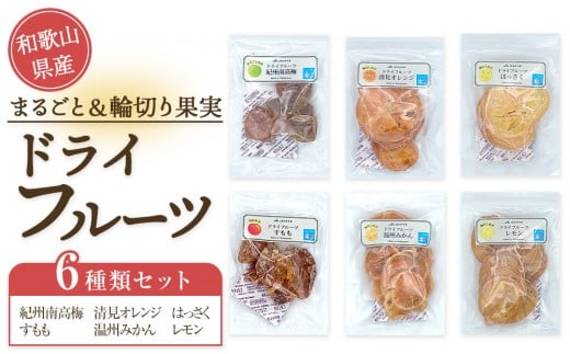 和歌山県産 丸ごと＆輪切り ドライフルーツ 6種類セット