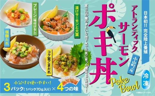 日本初 完全陸上養殖 小山町産 アトランティックサーモン 冷凍 ポキ丼 （ 食べ比べ セット 70g × 3パック × 4つの味 ） | サーモン アトランティックサーモン 刺身 海鮮丼 さーもん 小分け 真空パック 人気 おすすめ ランキング リピート 国産 静岡県 小山町