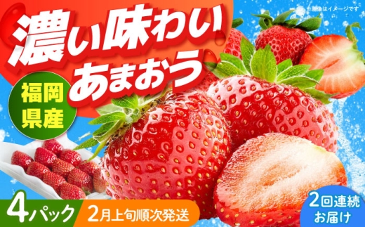 【全2回定期便】福岡産【春】 あまおう 4パック 《築上町》【南国フルーツ株式会社】果物 苺 いちご [ABET026]