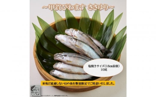 甲賀びわます “ささゆり”　塩焼きサイズ 5尾入り×2パック 2426283 - 滋賀県甲賀市