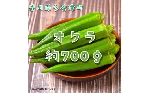 オクラ約700g　10ネットまたはバラ詰め【L-71】
