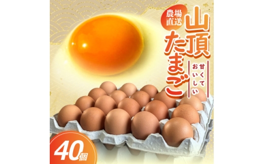 ＜毎月定期便＞養鶏場から直送!甘くておいしい「山頂たまご」赤たまご　40個　全3回【4075582】