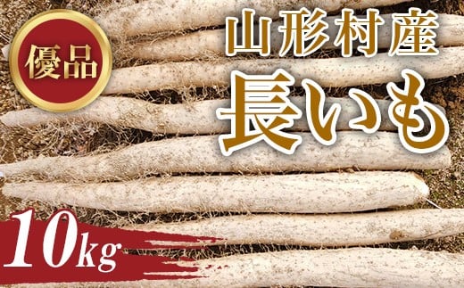 3203 信州山形村産 長いも 優 10kg