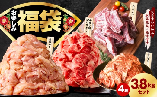 肉福袋 4種 3.8kg 焼肉セット（牛肉 切り落とし／牛ハラミ／豚肉 スペアリブ／鶏肉）【氷温熟成×極味付け 焼くだけ 食べ比べ ふくぶくろ お楽しみ 簡単調理】
