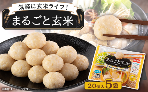 〈冷凍〉まるごと玄米(20個入り)5袋でお届け【1430019】