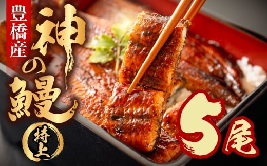 うなぎの新ブランド、開幕。『神の鰻』5尾 国産 特上 選べる お届け時期 鰻 うなぎ unagi ウナギ 蒲焼 長蒲焼 国産うなぎ 上 特上 年内お届け 年内発送 年内発送 贈答 ギフト お歳暮 プレゼント お祝い 誕生日 土用の丑の日 愛知県 豊橋市