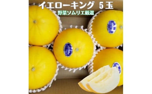 先行予約 道の駅の野菜ソムリエ厳選 イエローキング 5玉 箱詰め めっくんはうす メロン フルーツ 果物 お取り寄せ 渥美半島 産地直送 田原市 送料無料 めっくんはうす