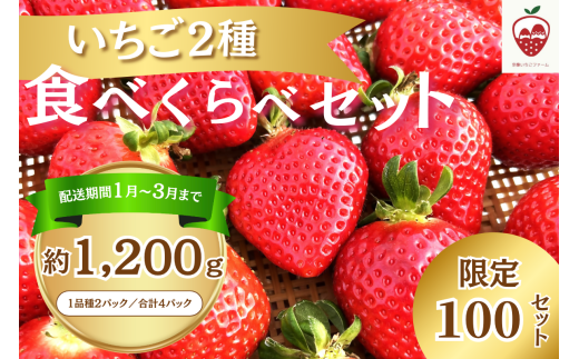何が届くかお楽しみ！人気のいちご2品種食べ比べセット【宗像いちごファーム】_HA1785