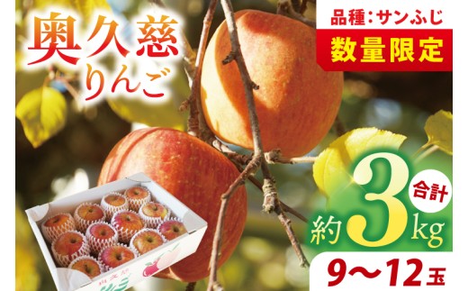 【仲野りんご園】樹上完熟の奥久慈りんご「サンふじ」約3kg（9～12玉）｜茨城県 大子町 林檎 アップル 果物 フルーツ シャキシャキ みずみずしい 旬 秋 味覚 ギフト 贈答（DF001）