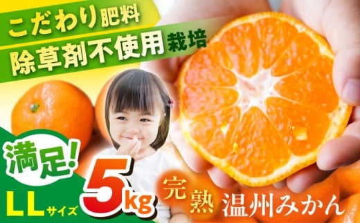 温州みかん LLサイズ 約5kg 津久井浜みかん 蜜柑 ミカン 果物 柑橘 フルーツ 横須賀【志村農園】 [AKGH004-1]
