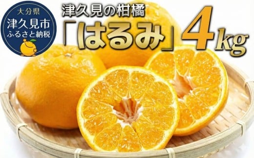 上野果樹園の 「はるみ」 4kg |  ミカン 蜜柑 オレンジ 果実 旬のフルーツ 大分県 九州 津久見市 国産