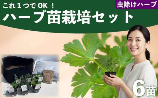 ハーブ 苗 栽培キット 虫除けハーブ 6品種 花苗 苗木 ガーデニング 寄せ植え プランター 土 肥料 付き プレゼント 育成セット 日用品 園芸 花苗 おすすめ セット ポタジェガーデン 埼玉県 羽生市 2385755 - 埼玉県羽生市