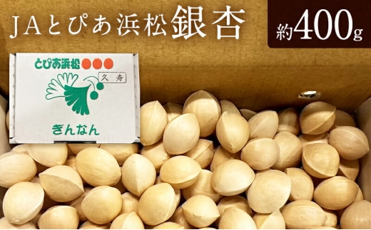 JAとぴあ浜松 銀杏 約400g 【配送不可：離島】 ギンナン 静岡 浜松市 [№5360-0949]