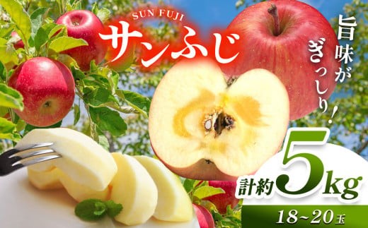 信州産 塩尻エールりんご！国内生産1位 サンふじ 約5kg （18～20玉）【11月中旬以降発送予定】| 果物 くだもの フルーツ 林檎 りんご リンゴ サンふじ 長野県 塩尻市