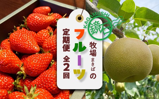 [2026年から発送開始]鏡石町 まきばのフルーツ定期便(いちご 約500g・和梨 約3kg) イチゴ 苺 ナシ なし 福島県 鏡石町 F6Q-417