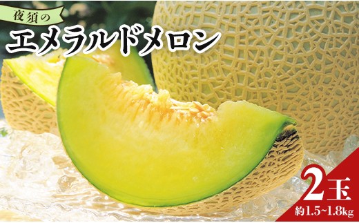 【11月以降順次配送】<ブランドメロン>エメラルドメロン 2玉 メロン マスクメロン めろん 2玉 果物 くだもの フルーツ 甘い デザート 贈答 ギフト プレゼント 産直 産地直送 高知県 青肉 yu-0025
