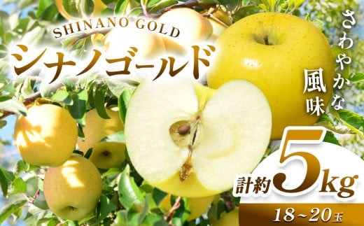 【2026年先行予約】 信州産 塩尻エールりんご！さわやかな風味 シナノゴールド 約5kg（18～20玉）【10月末以降発送予定】| 果物 くだもの フルーツ 林檎 りんご リンゴ シナノゴールド 長野県 塩尻市