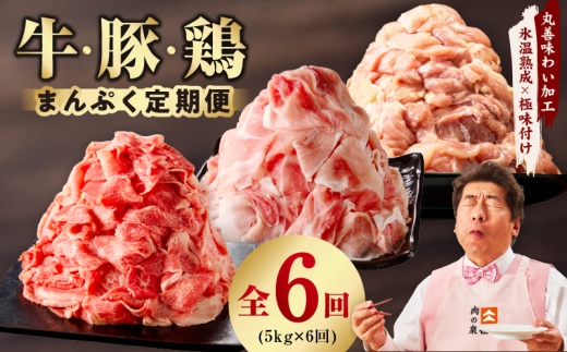 国産 牛肉&豚肉&鶏肉 まんぷく 定期便 5kg×6回【氷温熟成×極味付け 3種 食べ比べ 普段使い 味付き 小分け 訳あり サイズ不揃い 】
