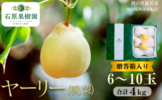 季節の味覚をお楽しみください。