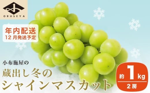 蔵出し冬のシャインマスカット 約1kg 2房 年内配送 ［小布施屋 ］長野県 ぶどう フルーツ 果物 冷蔵便 クール便 令和8年産【2026年12月発送】［A-526］ 2067494 - 長野県小布施町