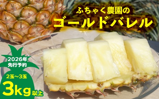 【2026年先行予約】ふちゃく農園のゴールドバレル3kg以上 パイン パイナップル パインアップル 高級パイン 沖縄県産パイン フルーツ 南国フルーツ トロピカルフルーツ 高級フルーツ 果物 くだもの 果実 デザート 甘い 人気 プチギフト 産地直送 国産 沖縄 名護市