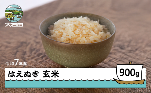 米 令和7年産 はえぬき 玄米 900g 6月上旬発送 メール便 山形県産 東北 ap-hagxa900-6f