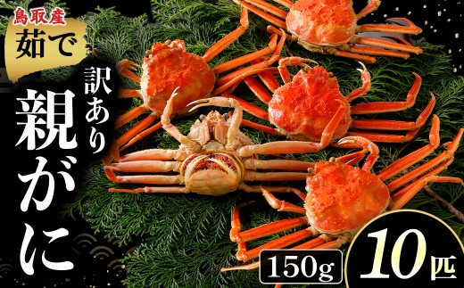 【年内発送】【訳あり】【茹で親がに 150g 10匹】年内発送！カニ ボイル 親がに 親ガニ ズワイガニ カニの甲羅 カニ味噌 内子 外子 蟹身 かにみそ 海鮮 国産 松葉ガニ 生活応援 大人気  期間限定 日本海 N99_Y