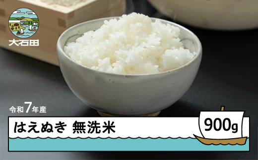 米 令和7年産 はえぬき 無洗米 900g 7月下旬発送 メール便 山形県産 東北 ap-hamxa900-7s 2429295 - 山形県大石田町