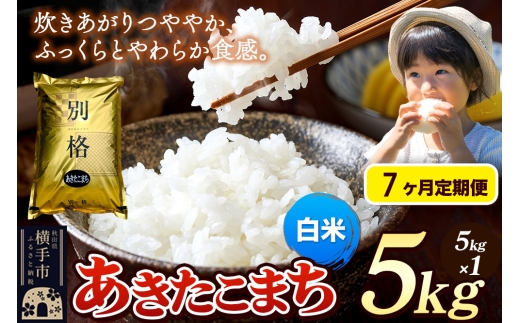 《令和7年産》《定期便7ヶ月》 米 あきたこまち 5kg 【白米】 秋田県産 2468120 - 秋田県横手市
