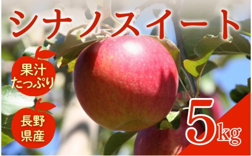 シナノスイート　5kg　りんご リンゴ 林檎 果物 フルーツ 長野 [№5312-1519]