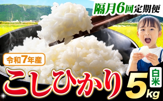 【隔月6回定期便】令和7年産  白米 こしひかり 5kg《お申込み翌月から出荷》熊本県産 ふるさと納税 白米 精米 ひの 米 こめ ふるさとのうぜい コシヒカリ コメ お米 おこめ