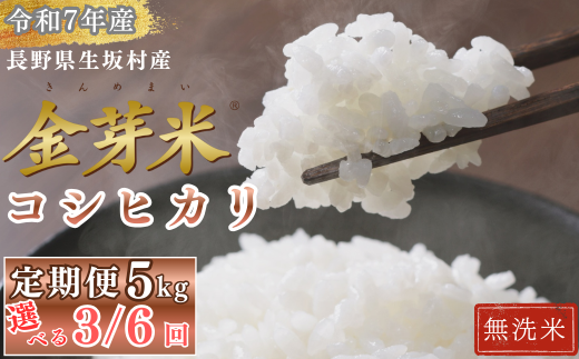 【選べる定期便】コシヒカリ 無洗米 5kg(1袋)×3か月/6か月 金芽米 長野県産 生坂村産 健康志向 高地栽培 冷めてもモチモチ コメ おこめ お米 こしひかり 白米 信州 長野県 生坂村 [株式会社野の香]