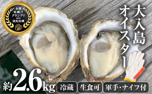 ＼牡蠣1グランプリ最高金賞受賞／ 真ガキ 大入島オイスター (約2.6kg) 牡蠣 かき カキ 貝 海鮮 魚介類 冷蔵 生食可 シングルシード 養殖 大分県 佐伯市【ED09】【(合)新栄丸】 532837 - 大分県佐伯市