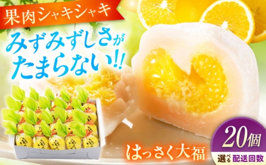【全6回定期便】お菓子 はっさく大福20個入  お菓子 大福 八朔 柑橘 みかん オレンジ 餅 ギフト お取り寄せ スイーツ フルーツ大福 ご当地 菓子 おかし デザート 食品 人気 おすすめ 果汁 広島県産 特産品 産地直送 お取り寄せ 贈り物 ギフト 贈答品 絶品 和菓子 定期便 国産 白あん 個包装 逸品 定期便 福山スイーツ 広島県福山市/株式会社虎屋本舗[BADH031]