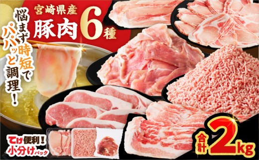 【令和8年5月発送】≪宮崎県産≫豚肉6種＼てげスゲーセット／合計2kg 肉 豚 豚肉 おかず 国産_T009-0305-05