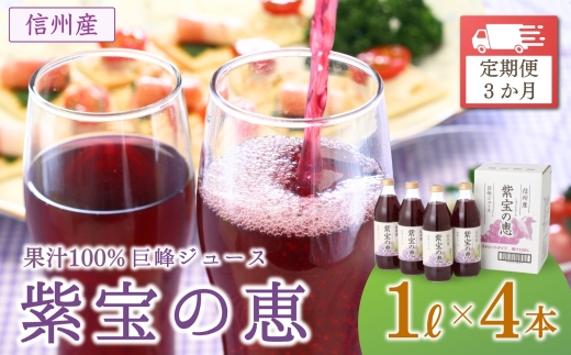 【3か月定期便】信州産 巨峰ジュース 「紫宝の恵」 ストレート果汁100％  (1L×4本) | 葡萄 ぶどう ブドウ グレープ 果物 フルーツ ストレート ジュース 飲料 飲み物 ドリンク 瓶 信州 長野 千曲市