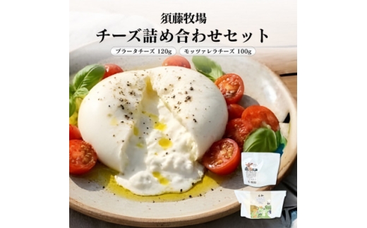 モッツァレラチーズ1個&ブラータチーズ1個セット【1704140】