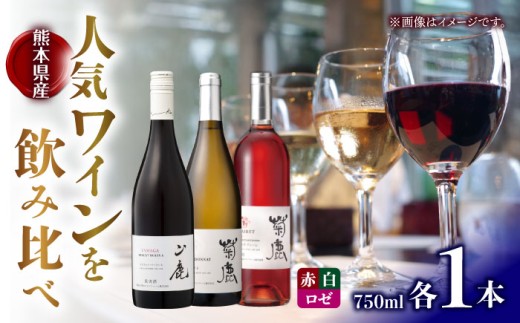 ワイン3本セット 菊鹿シャルドネ&菊鹿カベルネクレーレ2023&山鹿マスカットベーリーA2024 化粧箱付 わいん【菊鹿ワイナリー】 [ZFB007]