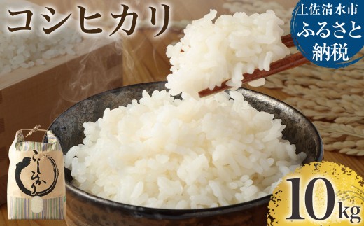 【先行予約】令和6年産 コシヒカリ精米10kg（1袋）新米　白米 お米 ご飯 米 kome こめ コシヒカリ こしひかり 高知県産 10キロ 故郷納税 返礼品 高知 土佐清水市 【R00355】