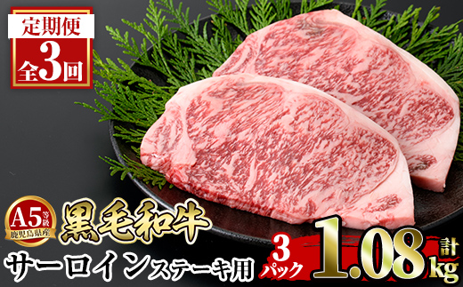 a853-E 【3回定期便】≪A5等級≫鹿児島県産黒毛和牛サーロイン2枚入り(3P計1.08kg) 【水迫畜産】姶良市 国産 牛肉 サーロインステーキ ステーキ ステーキ肉 和牛 2154922 - 鹿児島県姶良市