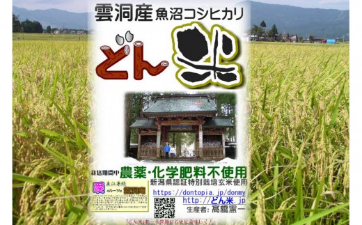 南魚沼産「どん米」白米真空パック8kg　ちょっと！うるさいよ！炊き方