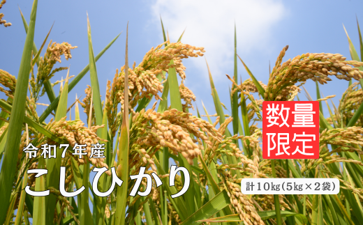 150250【令和7年産】しまね川本 こしひかり 10kg(5kg×2) 1553595 - 島根県川本町